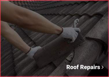 Roof Repairs 