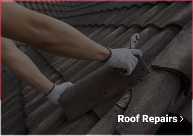 Roof Repairs 